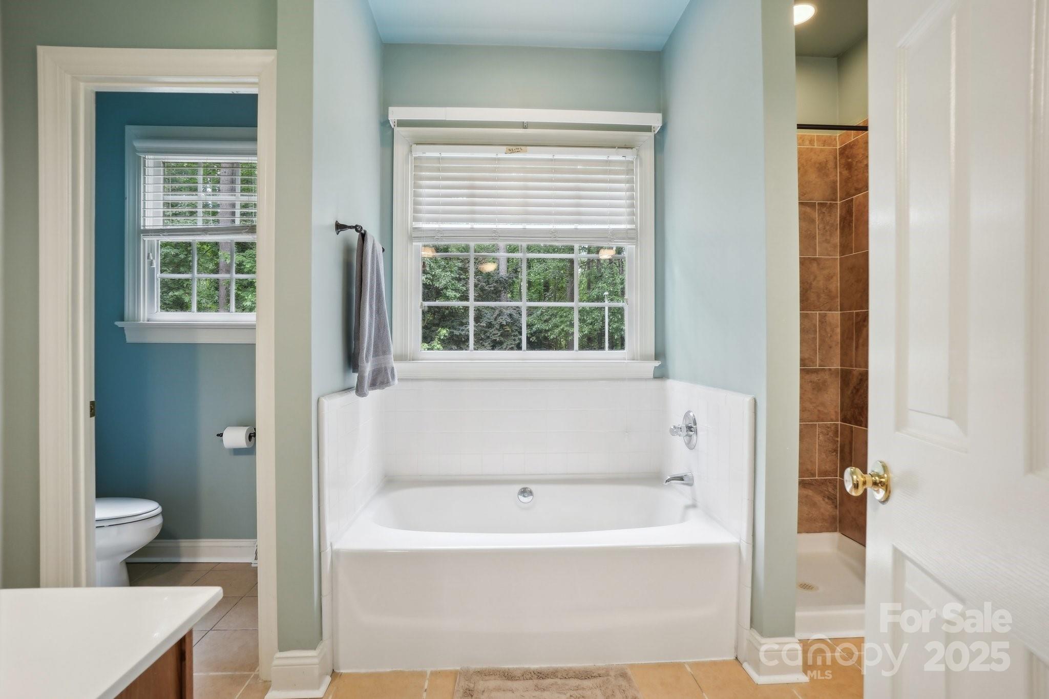 134 Lake Spring Loop Mooresville, NC 28117 - Photo 20 of 36 a white bath tub sitting next to a toilet