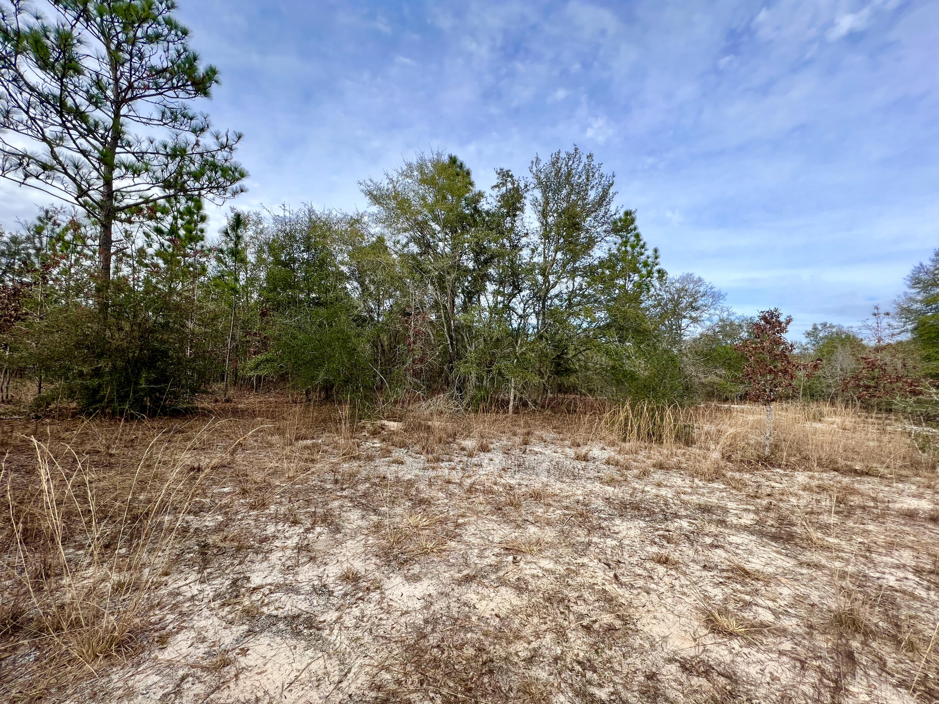 80-acres Hub Presley Road Laurel Hill, FL 32567 - Photo 13 of 18 a view of lake view