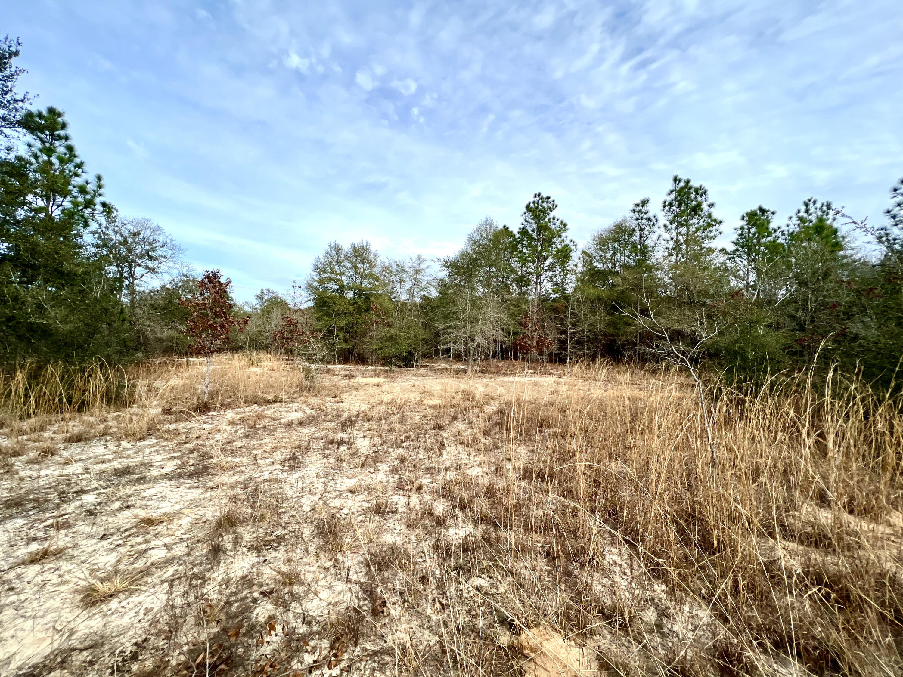 80-acres Hub Presley Road Laurel Hill, FL 32567 - Photo 14 of 18 a view of lake view and mountain view