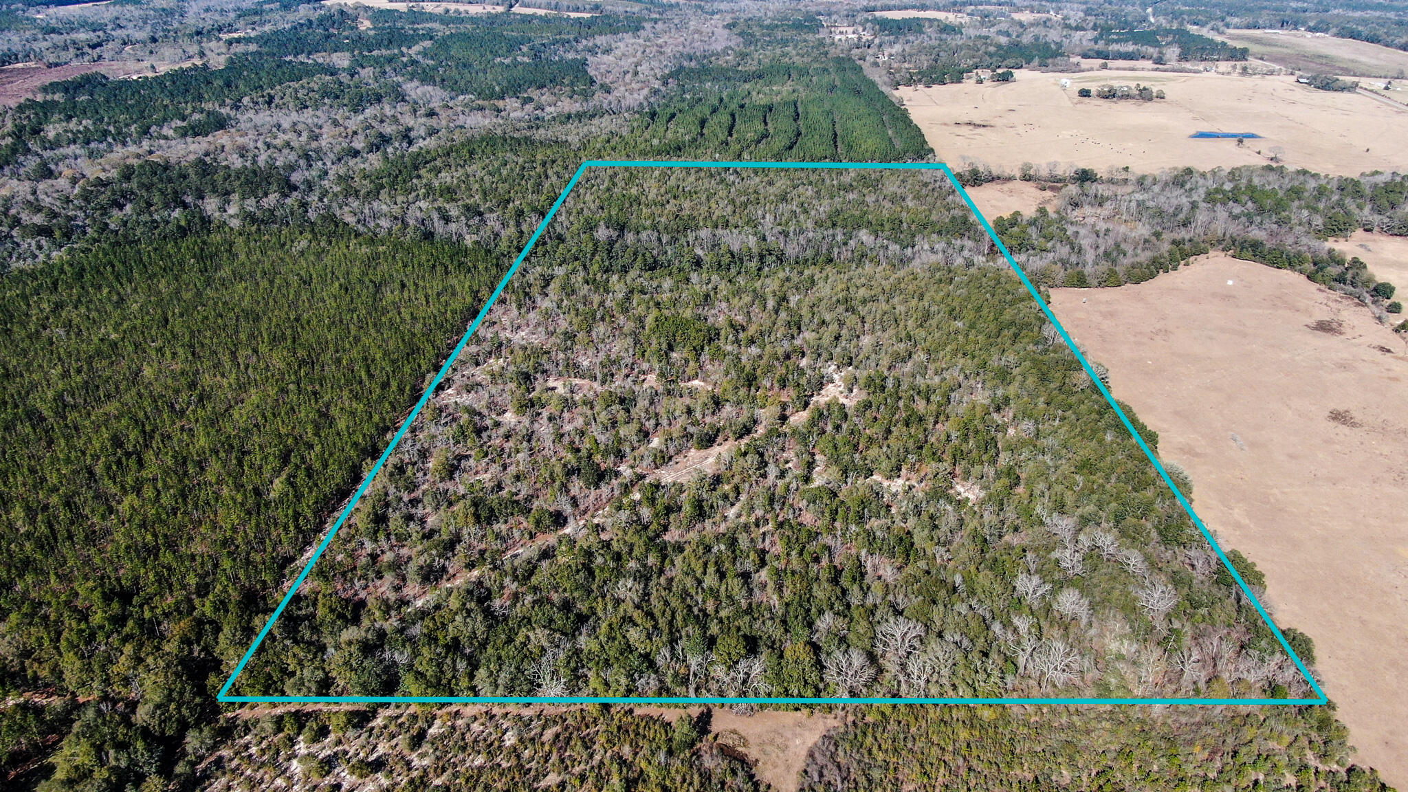 80-acres Hub Presley Road Laurel Hill, FL 32567 - Photo 18 of 18 a view of a yard