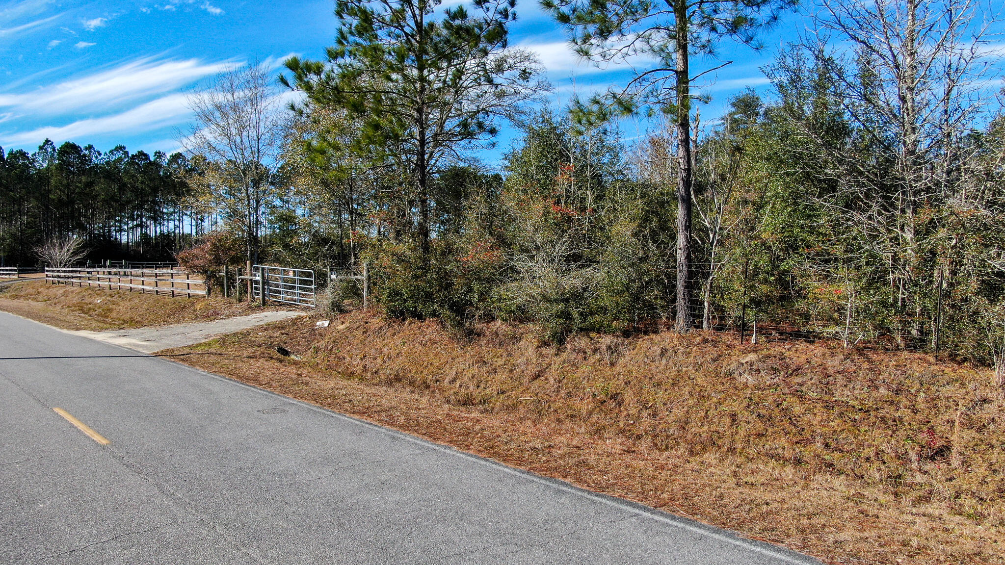 80-acres Hub Presley Road Laurel Hill, FL 32567 - Photo 4 of 18 a view of a yard with plants and trees