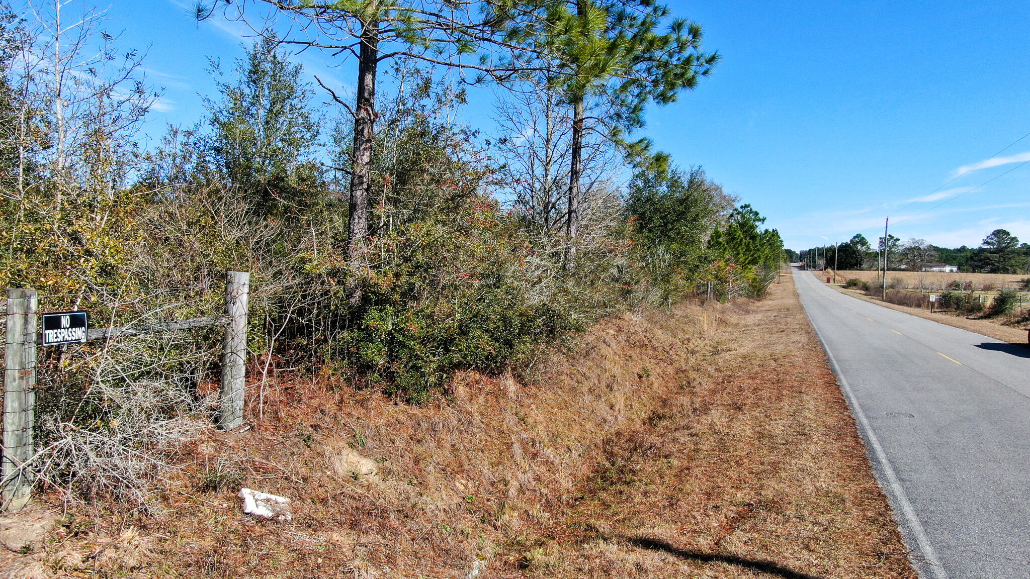 80-acres Hub Presley Road Laurel Hill, FL 32567 - Photo 5 of 18 a view of a yard with plants and trees