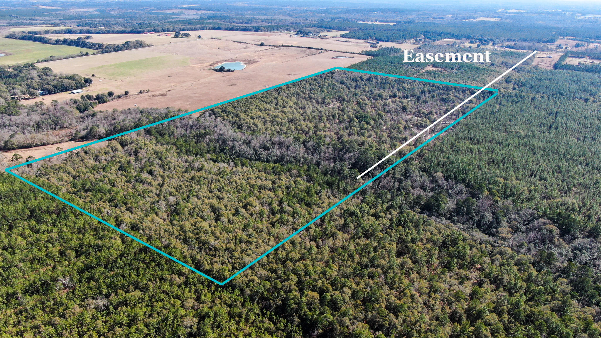 80-acres Hub Presley Road Laurel Hill, FL 32567 - Photo 6 of 18 a view of a tennis court