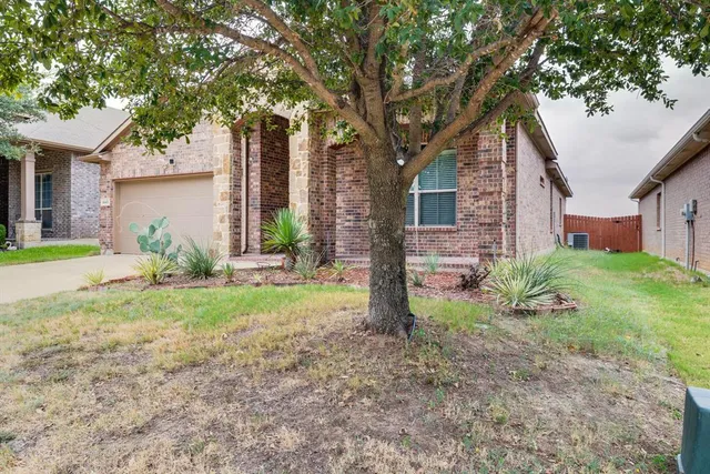 a view of a house with backyard and a tree