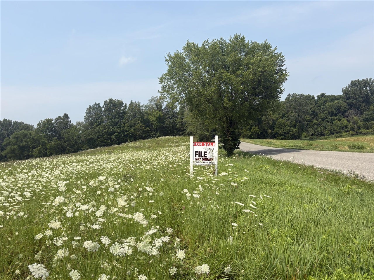 210 West Wagner Road Buchanan, MI 49107 - Photo 1 of 10 Gallery Image 1