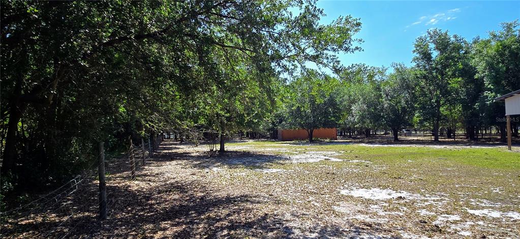 0 Connell Road Plant City, FL 33567 - Photo 16 of 29 Gallery Image 16