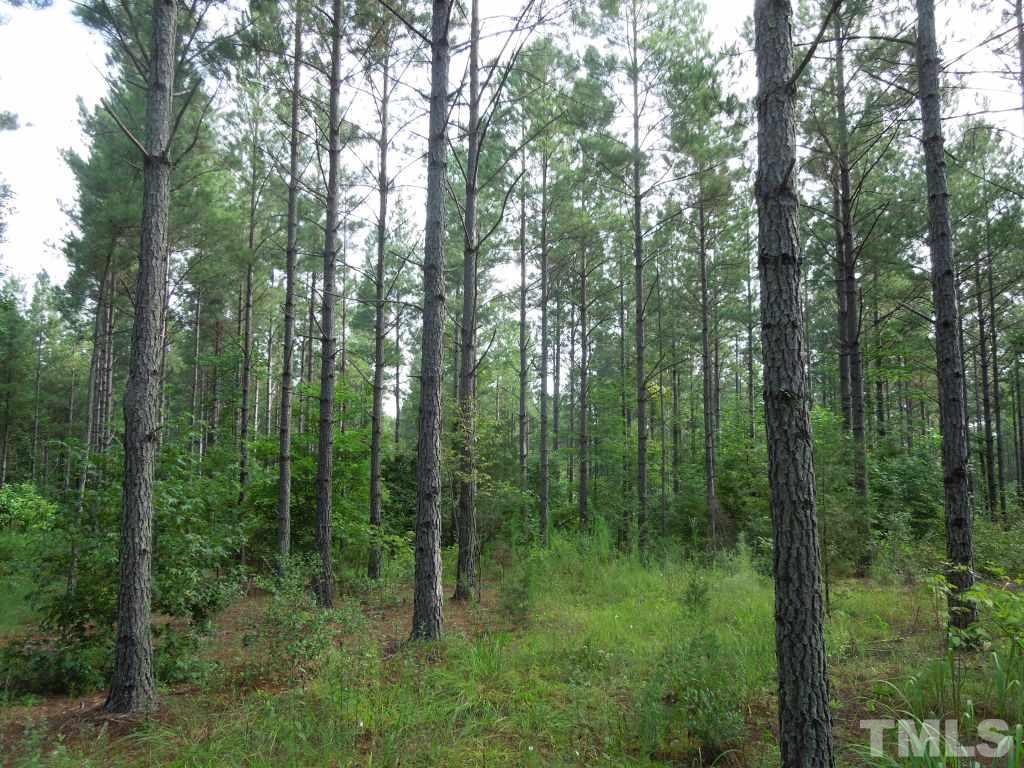 Underwood Rd Road, Unit WADSWORTH Carthage, NC 28327 - Photo 12 of 13
