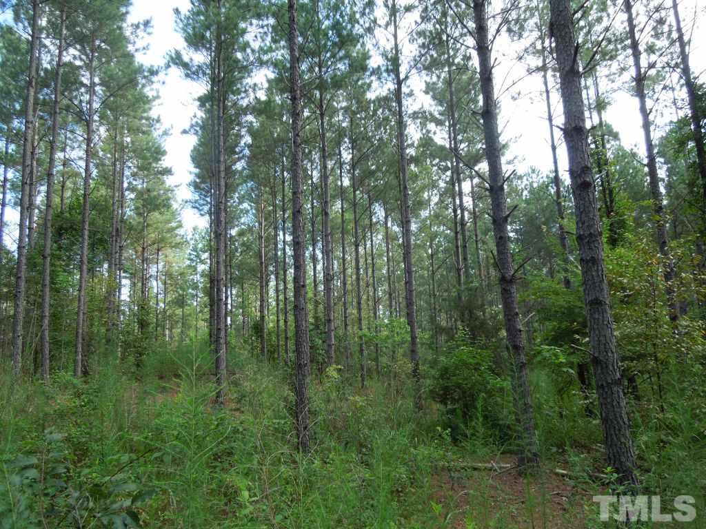 Underwood Rd Road, Unit WADSWORTH Carthage, NC 28327 - Photo 4 of 13