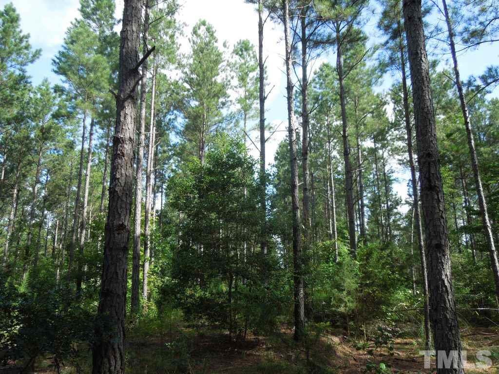 Underwood Rd Road, Unit WADSWORTH Carthage, NC 28327 - Photo 7 of 13