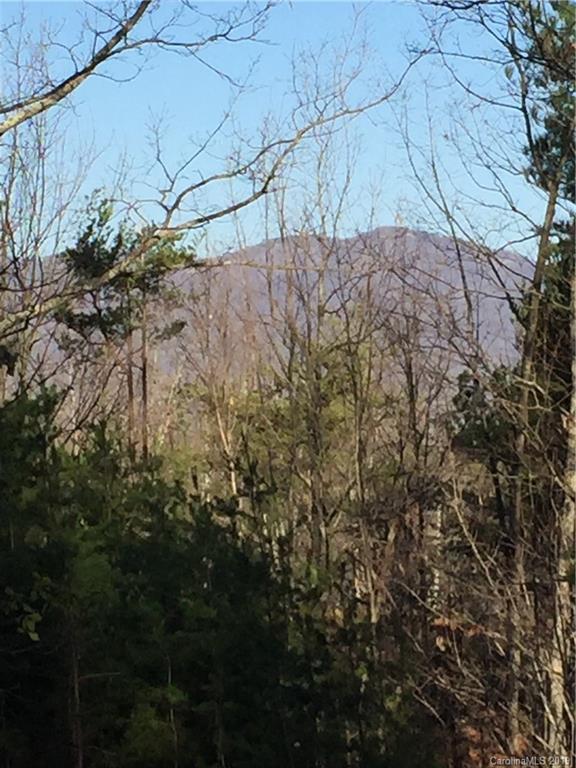 Lot 4 Prospect Point Drive Tryon, NC 28782 - Photo 2 of 8