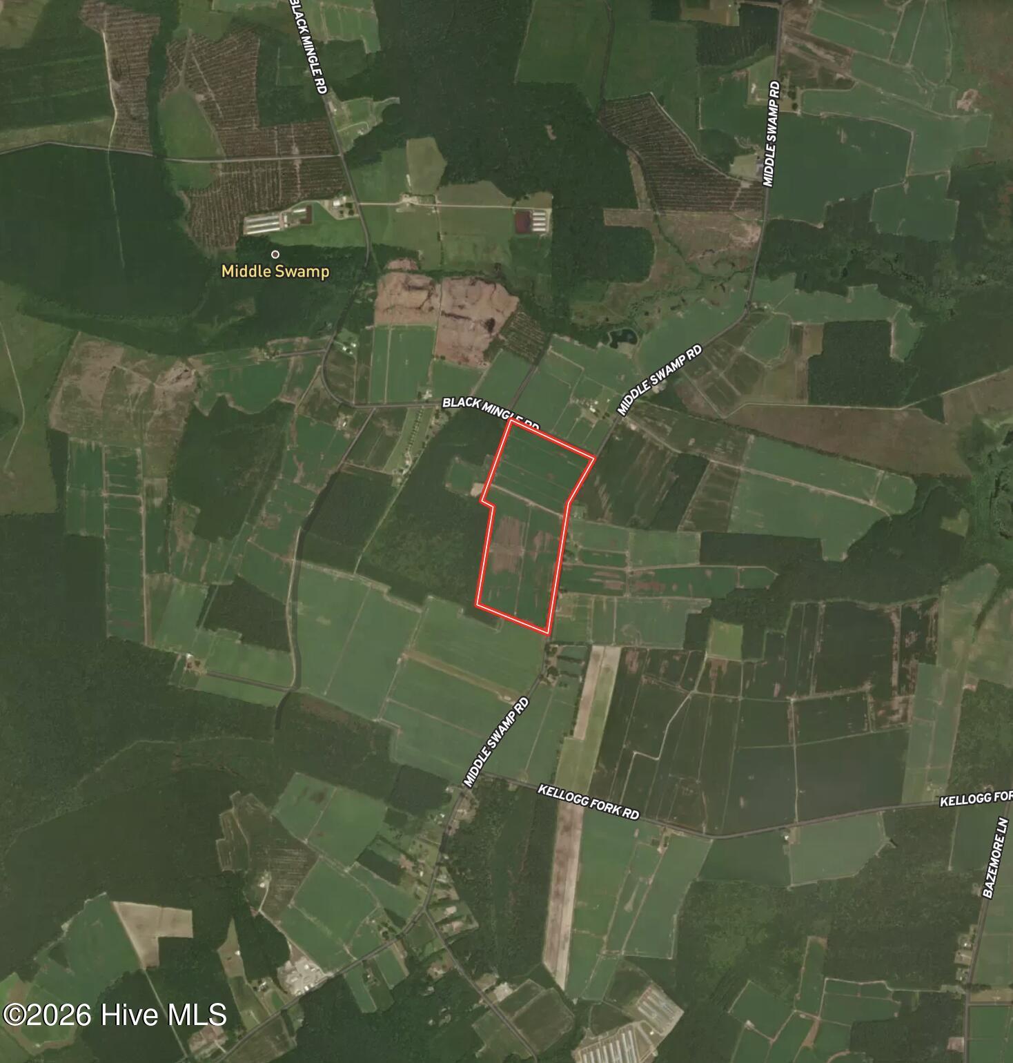 0 Middle Swamp Road Gates, NC 27937 - Photo 20 of 22 Aerial 2