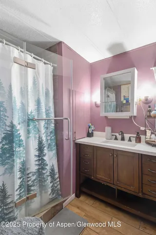 a bathroom with a sink mirror and a shower