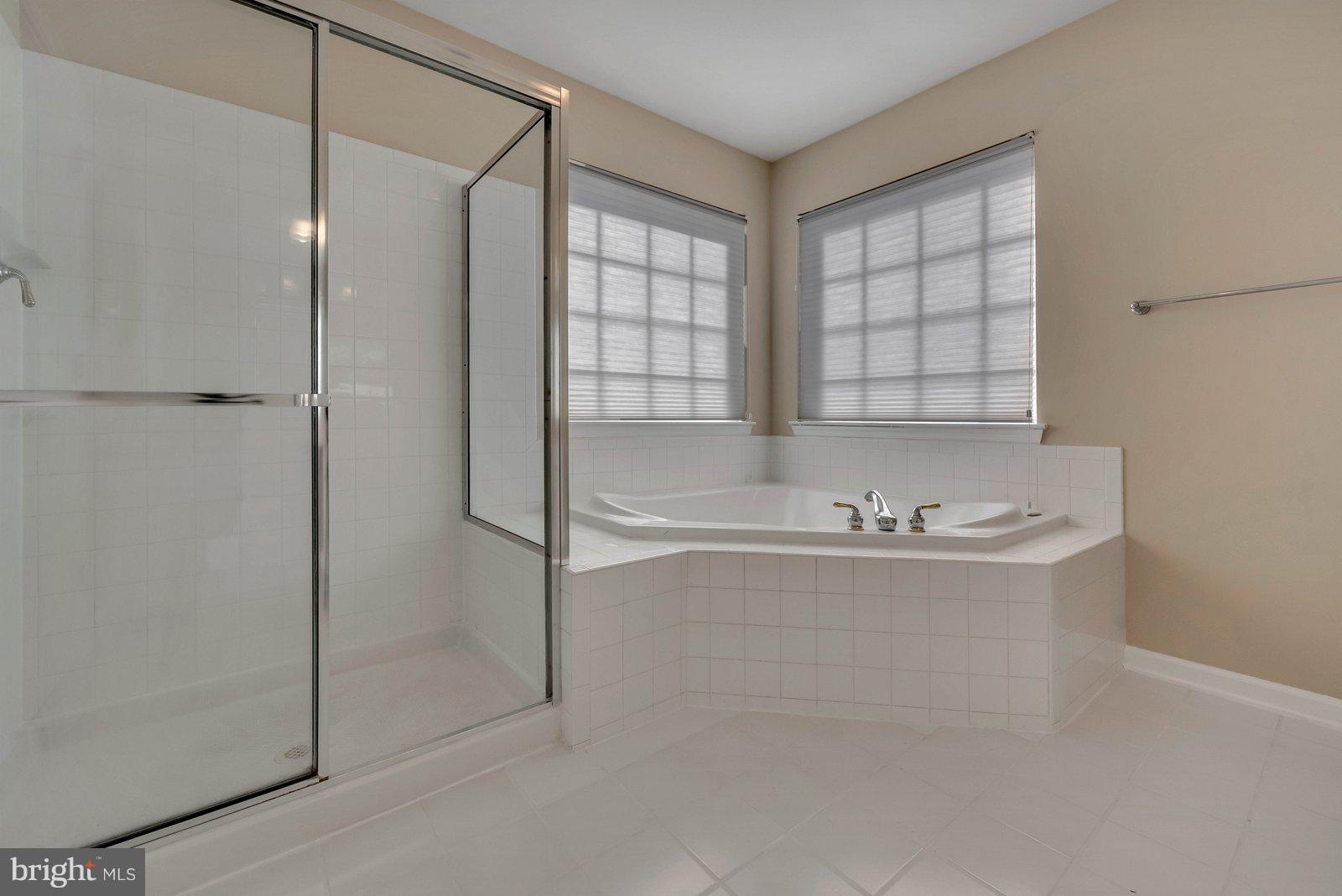 14404 Autumn Gold Road Boyds, MD 20841 - Photo 18 of 30 Extra large shower, full tub, plenty of light!