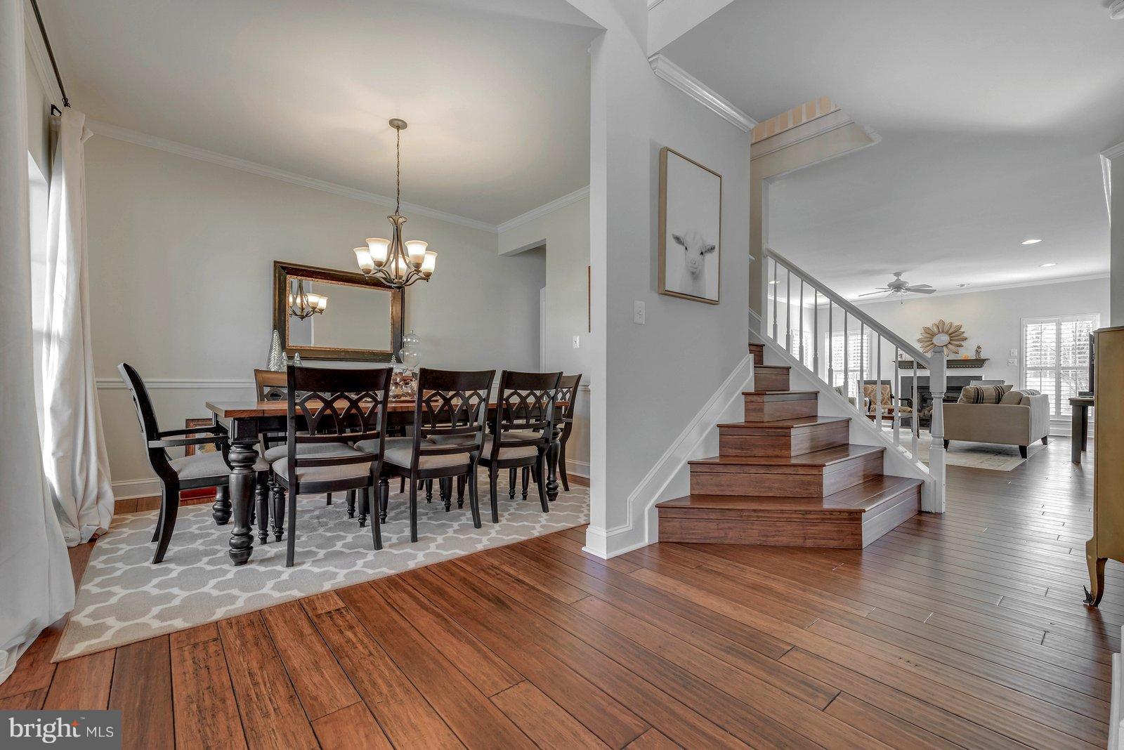 14404 Autumn Gold Road Boyds, MD 20841 - Photo 30 of 30 Foyer leads to wide staircase and open floorplan