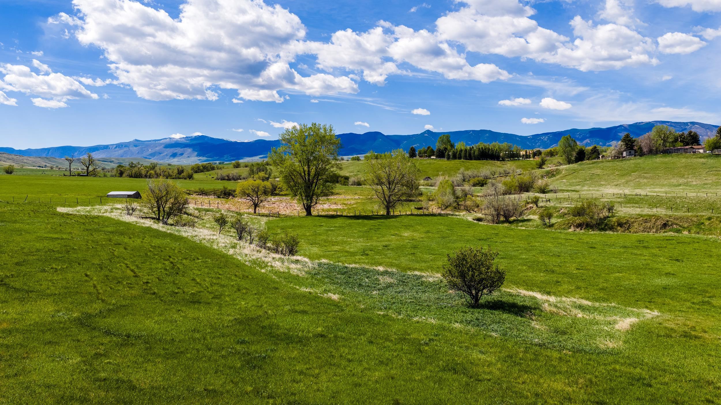 Tbd Beaver Creek Road Sheridan, WY 82801 - Photo 5 of 34