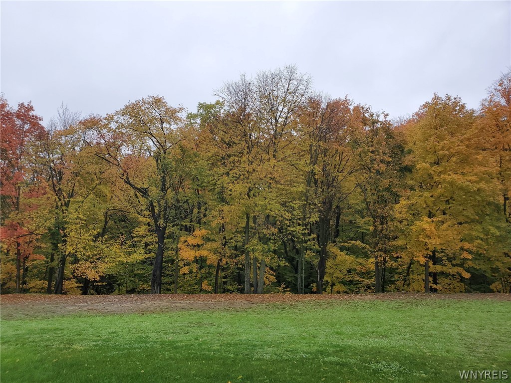 3816 Hardt Road Eden, NY 14057 - Photo 44 of 50 Woods