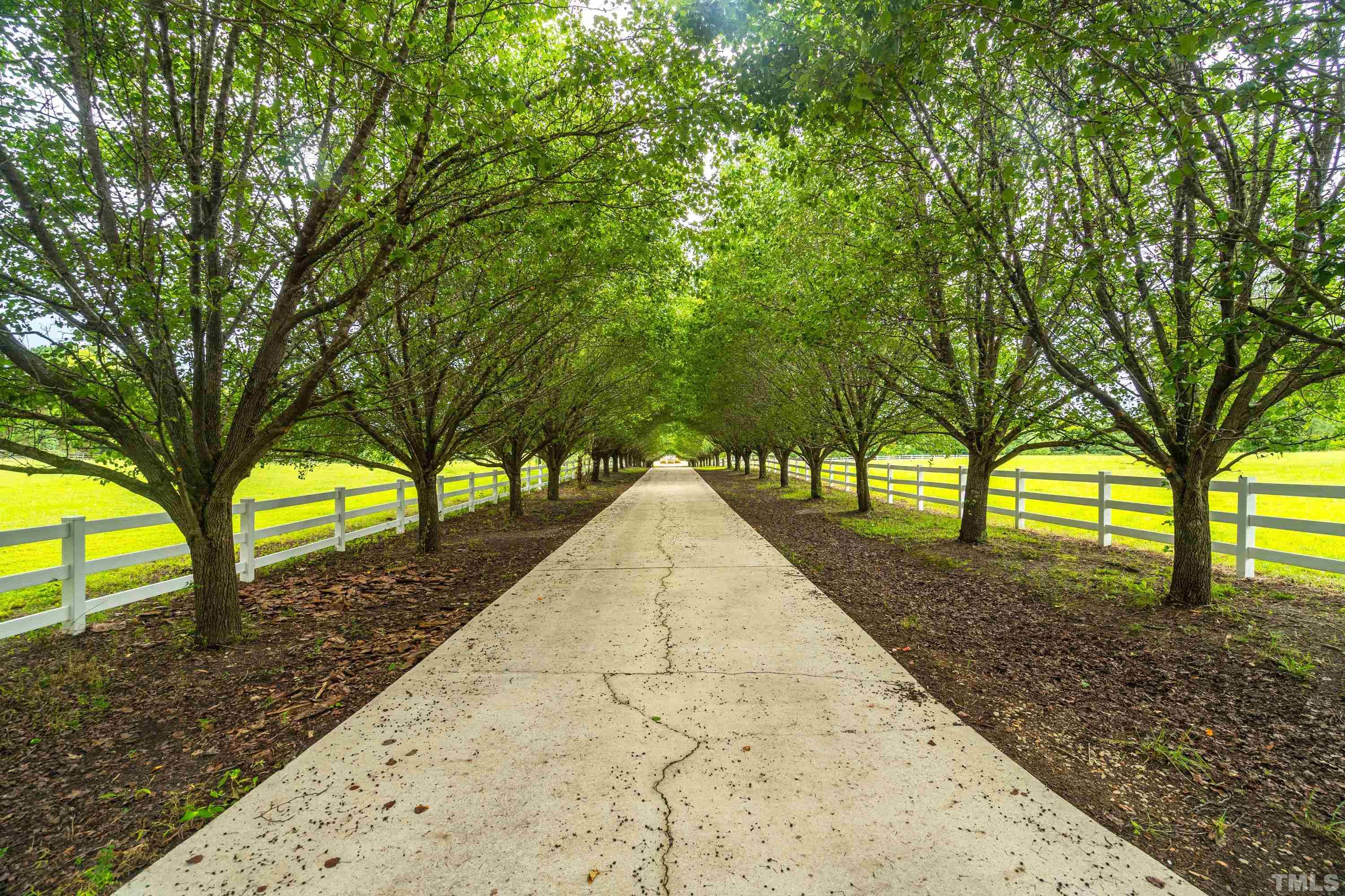 1016 Moss Road Zebulon, NC 27597 - Photo 20 of 30 a view of outdoor space with trees