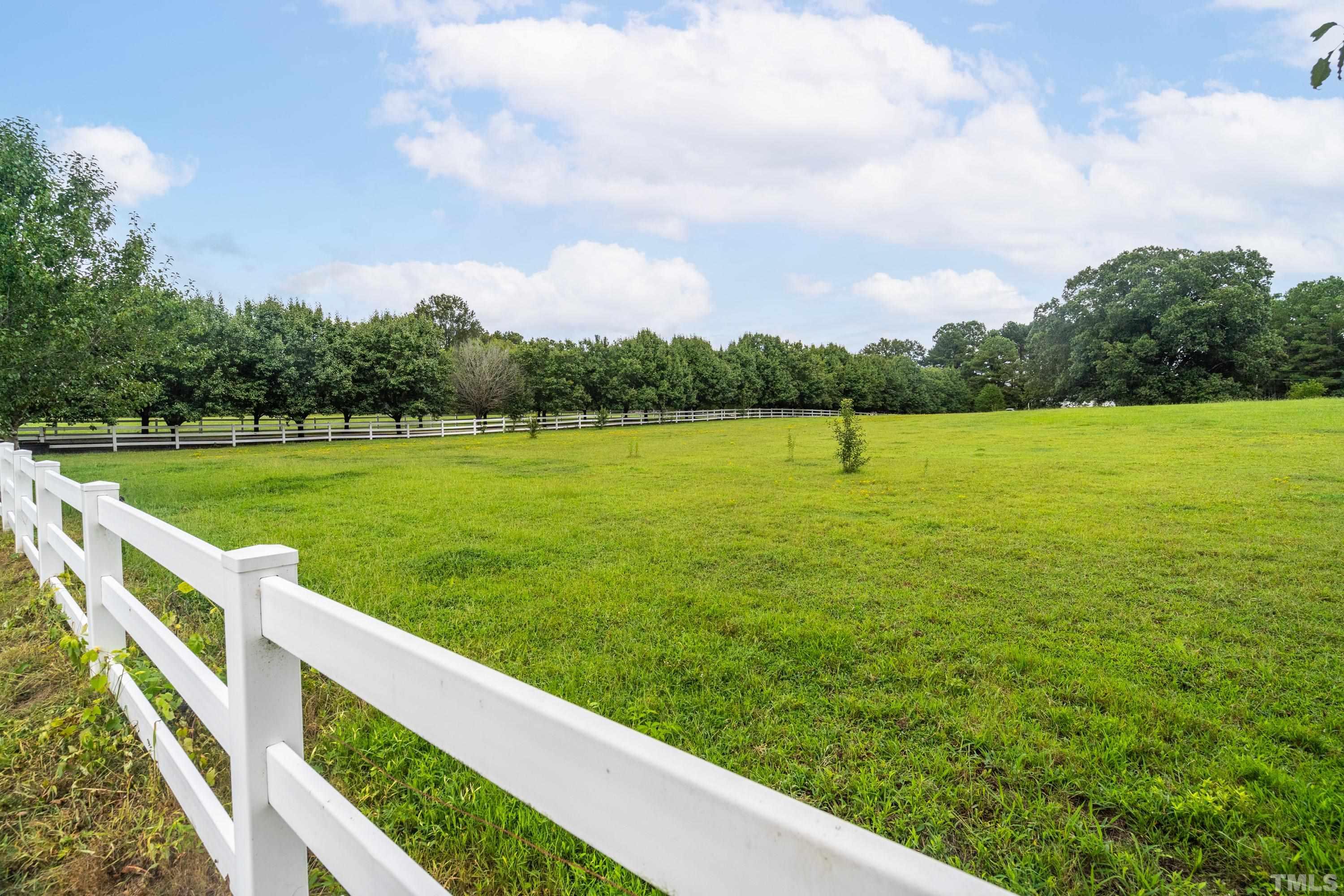 1016 Moss Road Zebulon, NC 27597 - Photo 25 of 30 a view of outdoor space and yard
