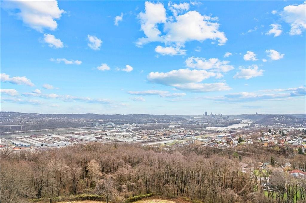 204 Pleasant Ridge Road McKees Rocks, PA 15136 - Photo 23 of 23 a view of a city