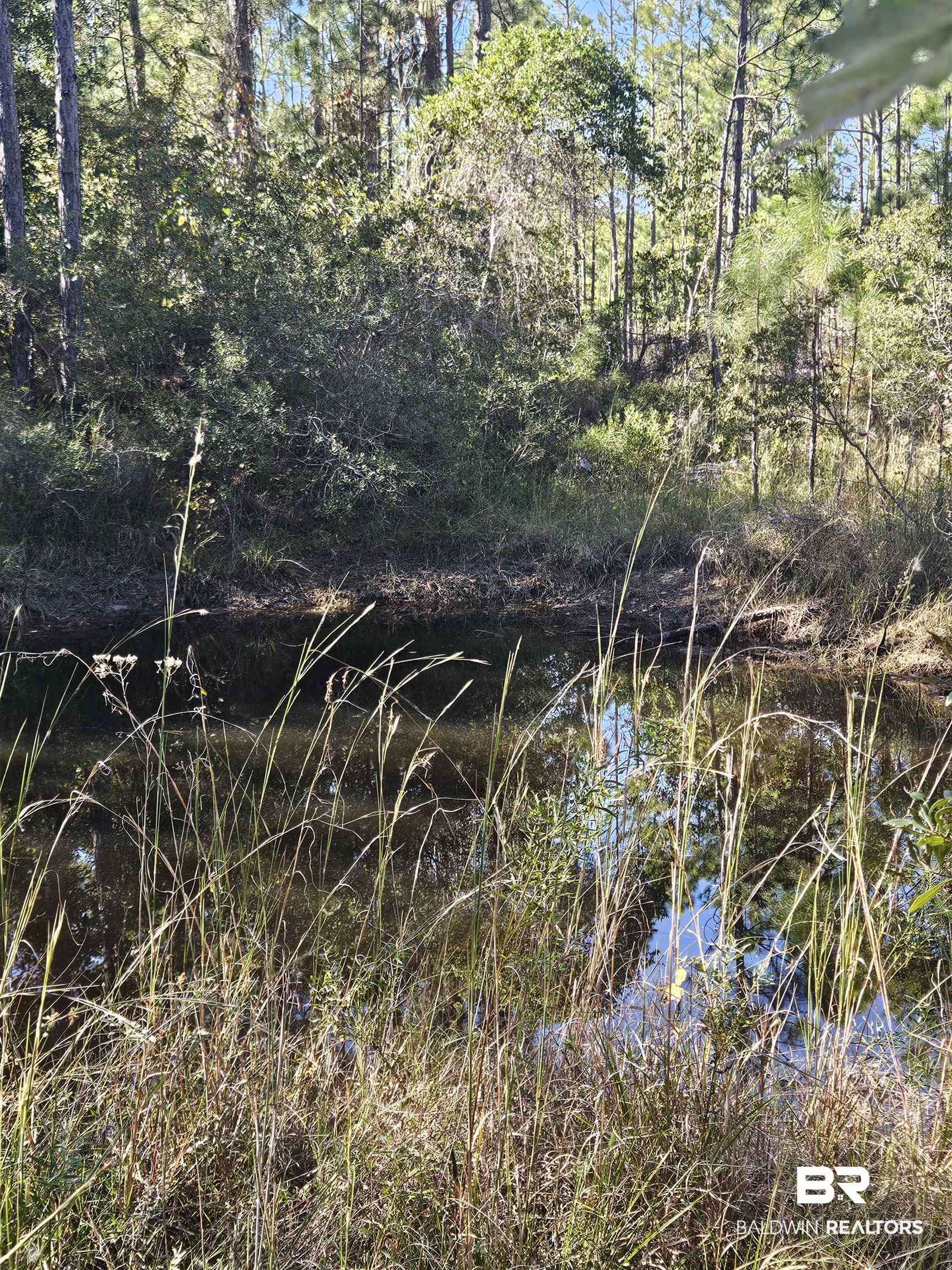 14780 Bellingrath Road Coden, AL 36523 - Photo 10 of 10 View of nature featuring a water view