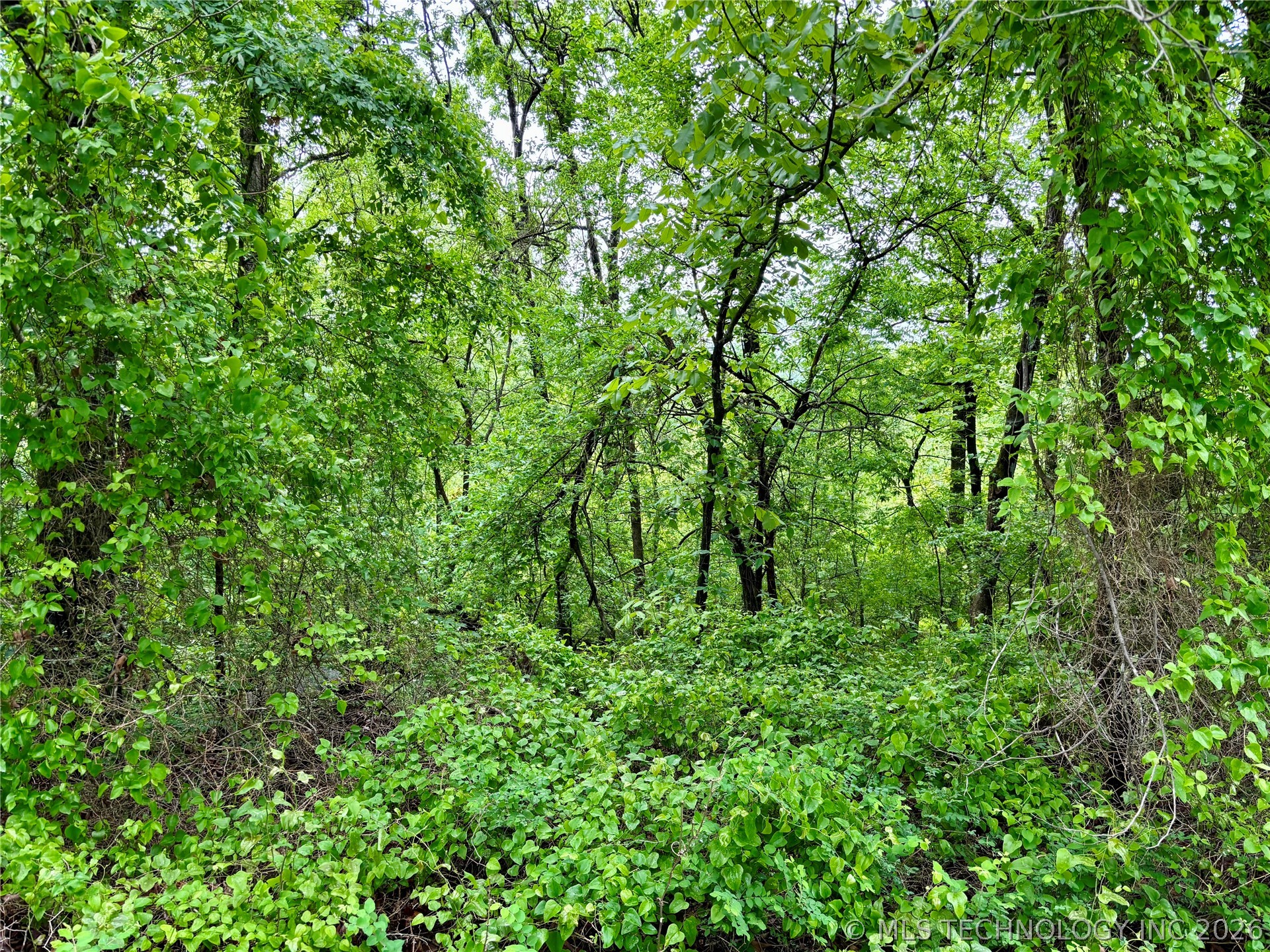 Ashley Road Bokoshe, OK 74930 - Photo 21 of 43 Gallery Image 21