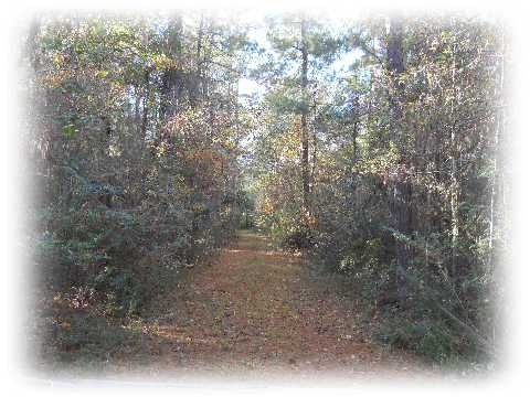 1365 Jedburg Road Summerville, SC 29486 - Photo 1 of 4 Primary Photo
