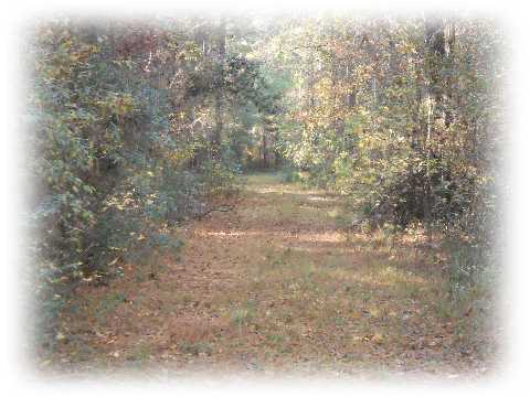 1365 Jedburg Road Summerville, SC 29486 - Photo 2 of 4 Additional Photo