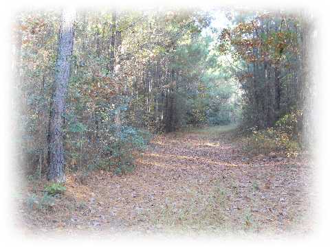 1365 Jedburg Road Summerville, SC 29486 - Photo 3 of 4 Additional Photo