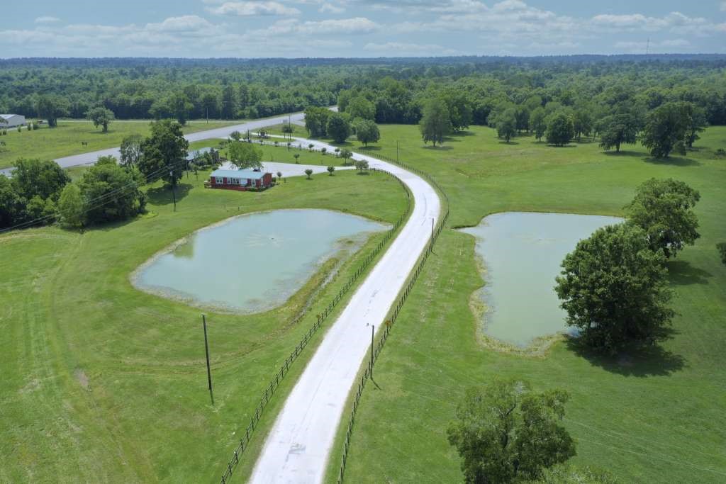 95 Pine Ridge Drive Cleveland, TX 77327 - Photo 32 of 37 a view of a garden with a lake view