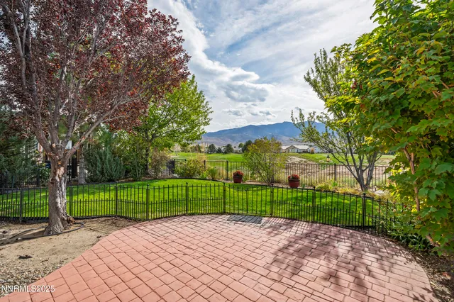 a view of a park with large trees