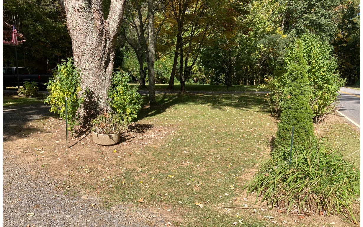 1300 Candy Mountain Road Murphy, NC 28906 - Photo 27 of 27 a view of a yard with plants and trees