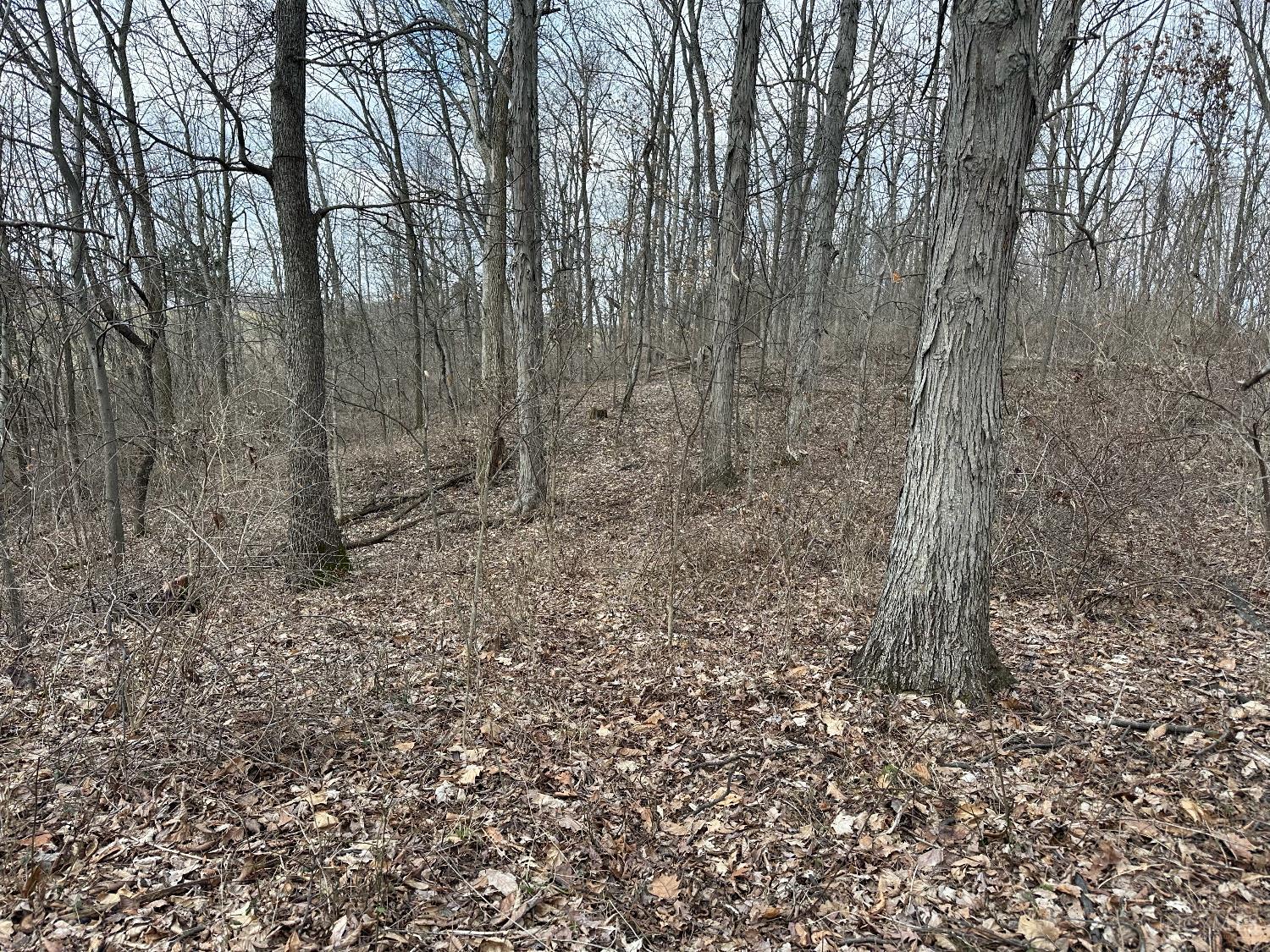 0 Wilson Road Winchester, OH 45697 - Photo 60 of 69