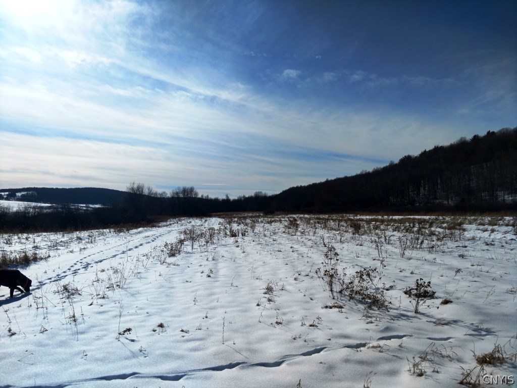 0 Cook Road Pitcher, NY 13136 - Photo 1 of 1 Gallery Image 1