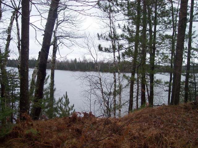 On Lone Pine Road Fifield, WI 54524 - Photo 3 of 16 Gallery Image 3