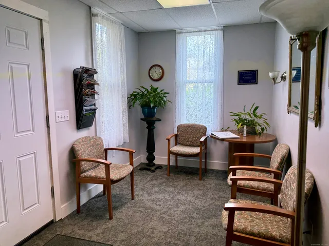 a living room with furniture flowerpot and wooden floor