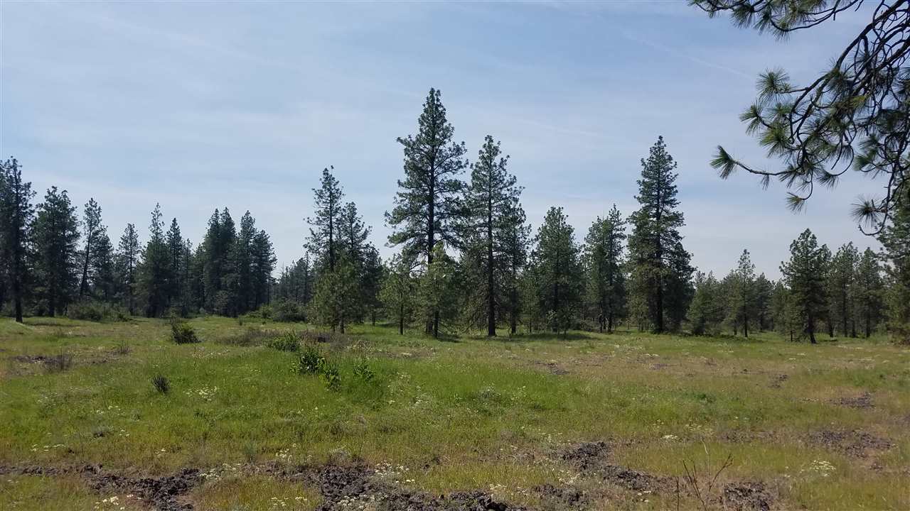 0 West Euclid Road Spokane, WA 99224 - Photo 11 of 12