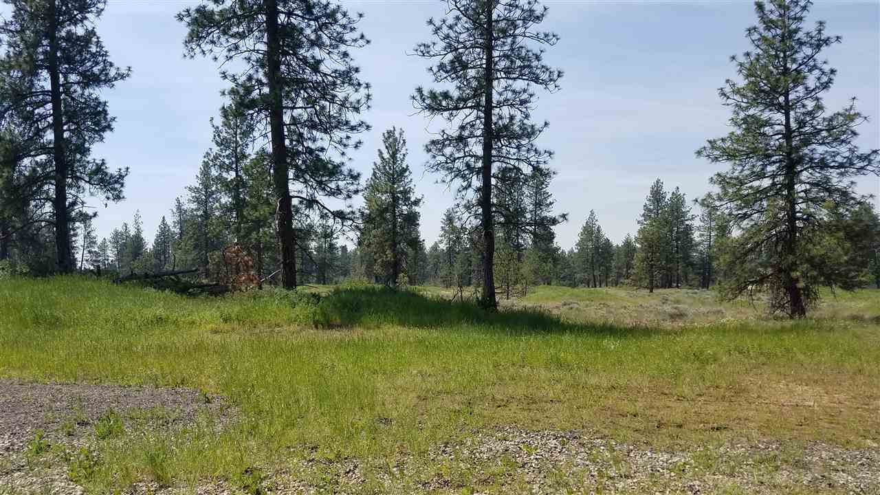 0 West Euclid Road Spokane, WA 99224 - Photo 3 of 12