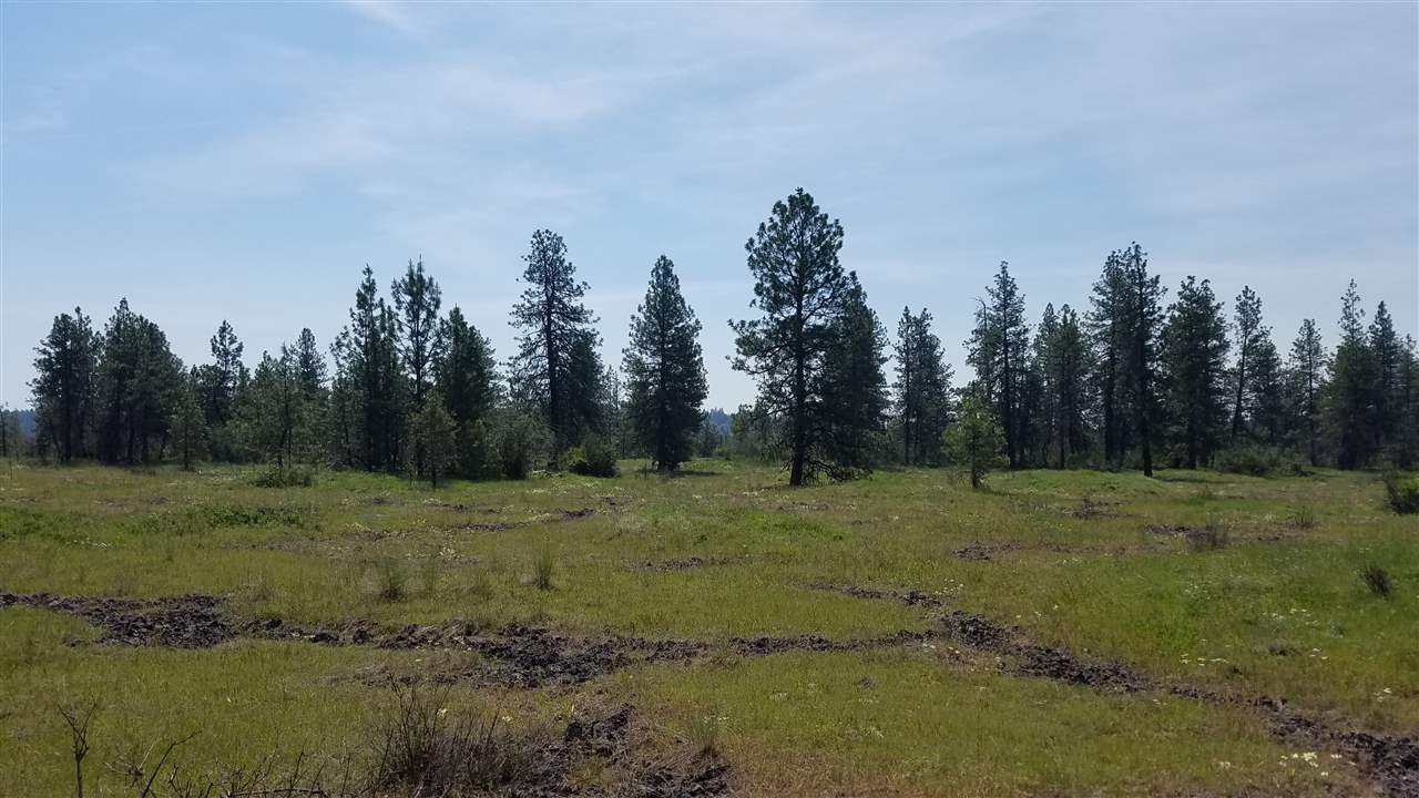 0 West Euclid Road Spokane, WA 99224 - Photo 9 of 12