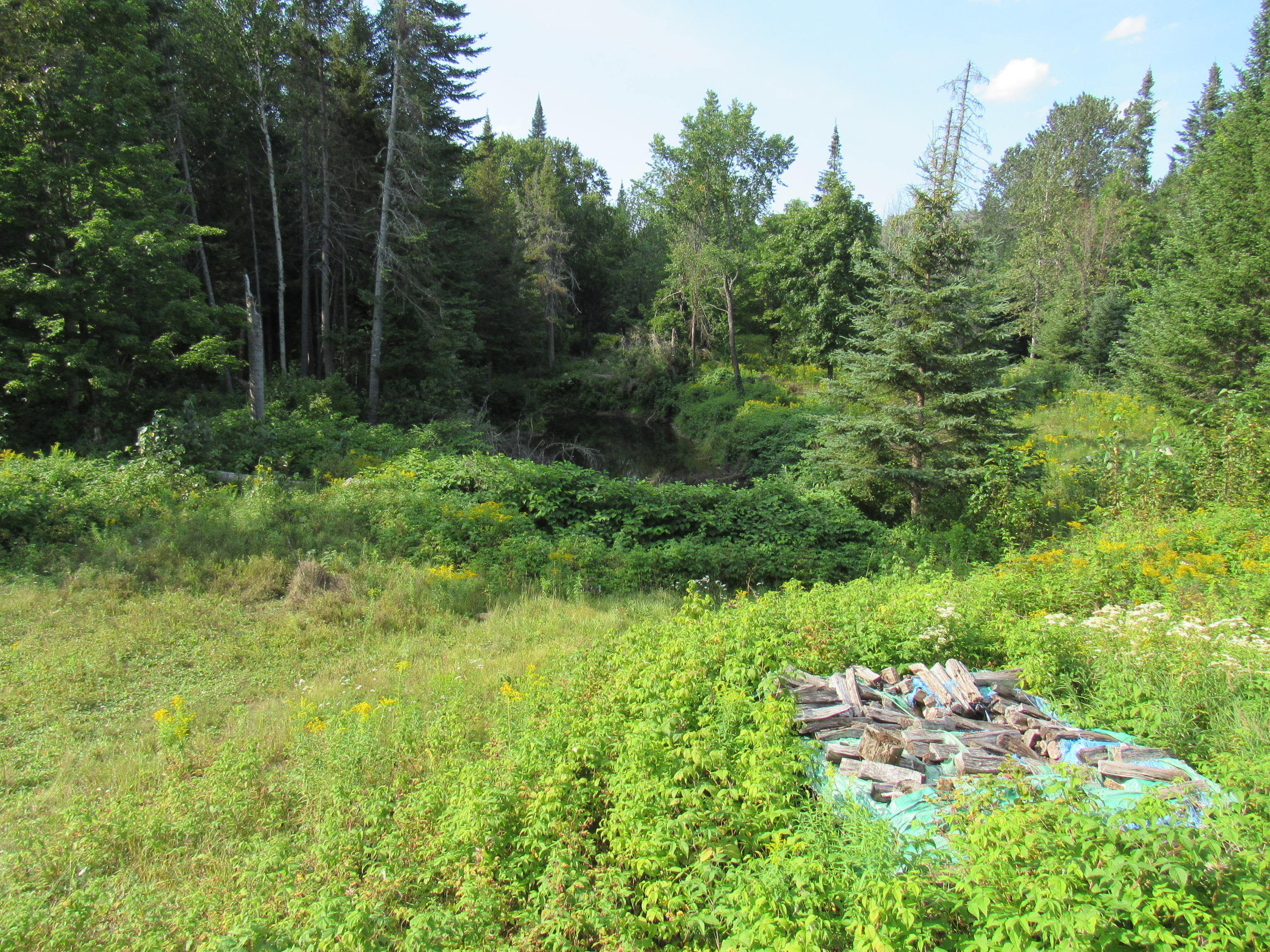 35 Holeb Road Jackman, ME 04945 - Photo 22 of 51 IMG_5528