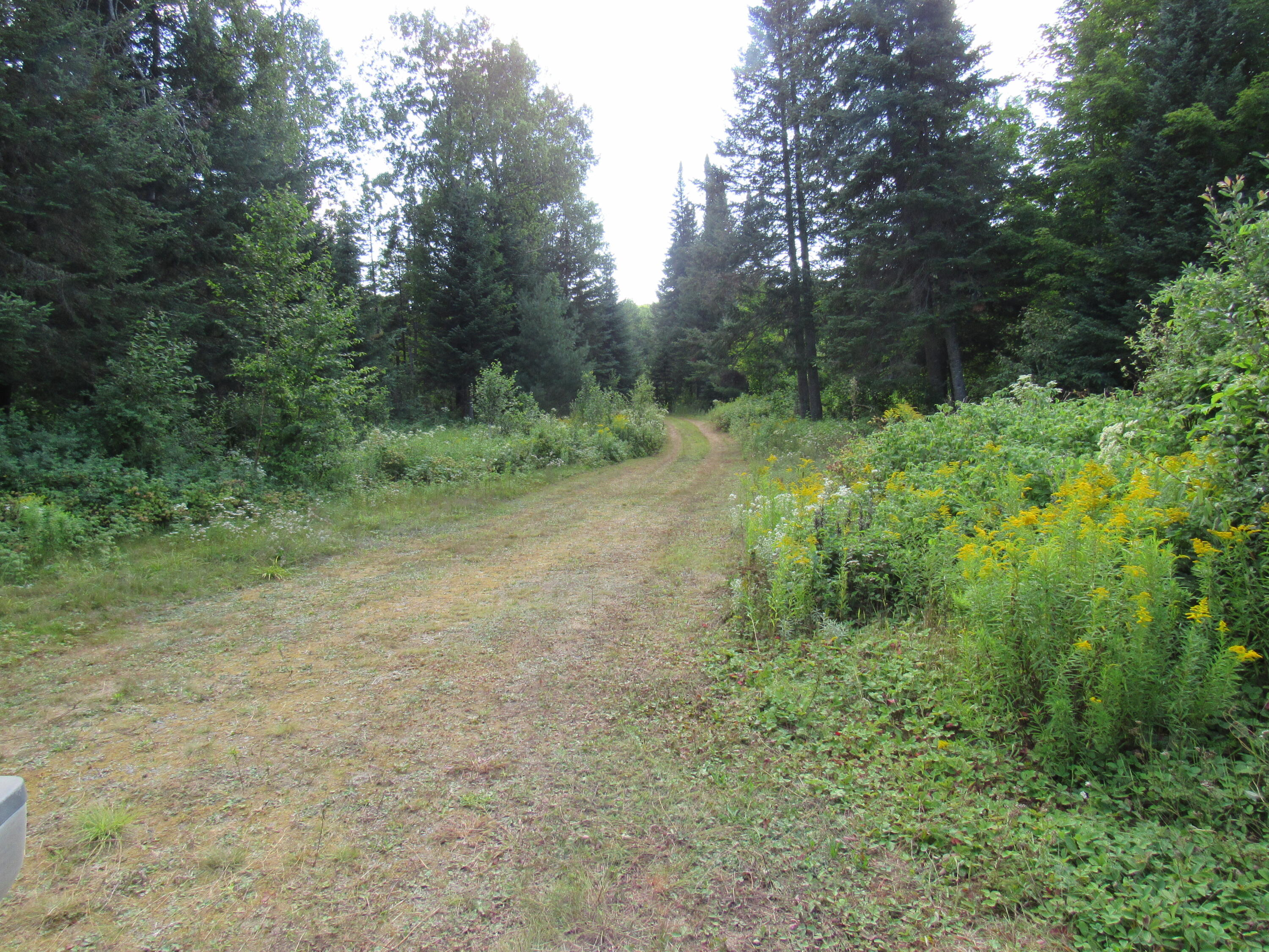 35 Holeb Road Jackman, ME 04945 - Photo 39 of 51 IMG_5550