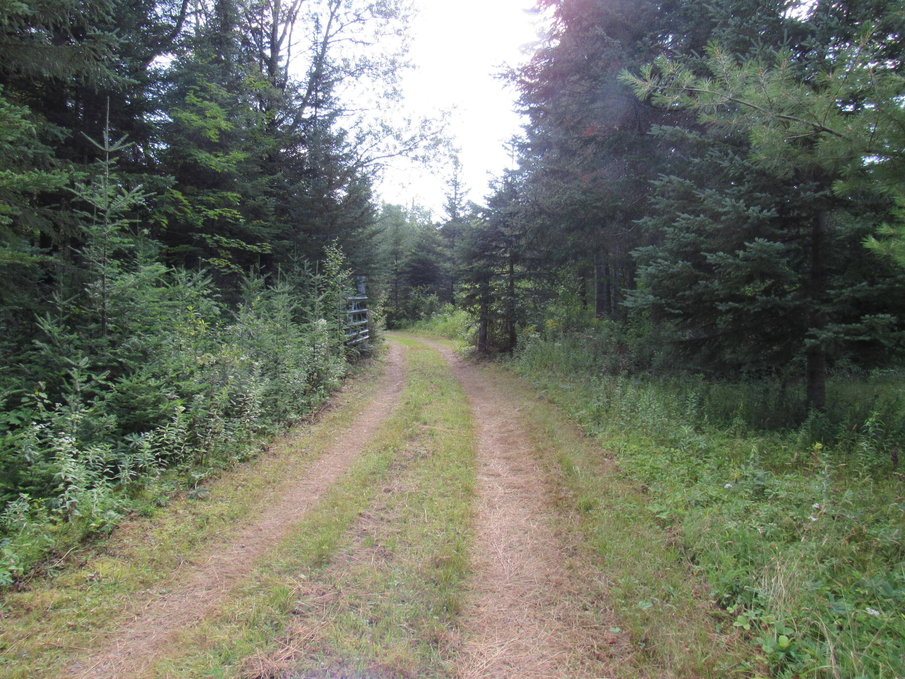 35 Holeb Road Jackman, ME 04945 - Photo 40 of 51 IMG_5551