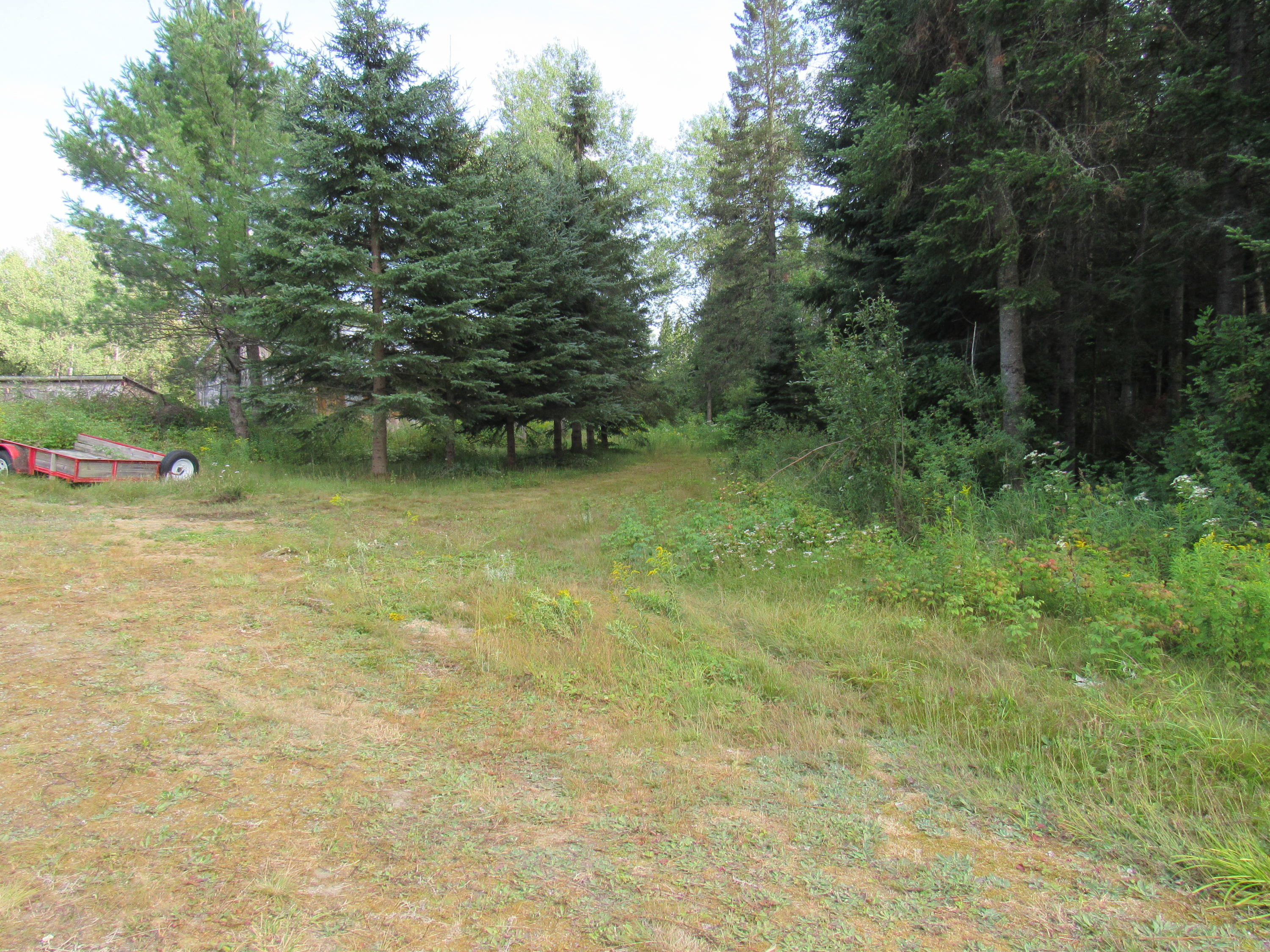 35 Holeb Road Jackman, ME 04945 - Photo 42 of 51 IMG_5555