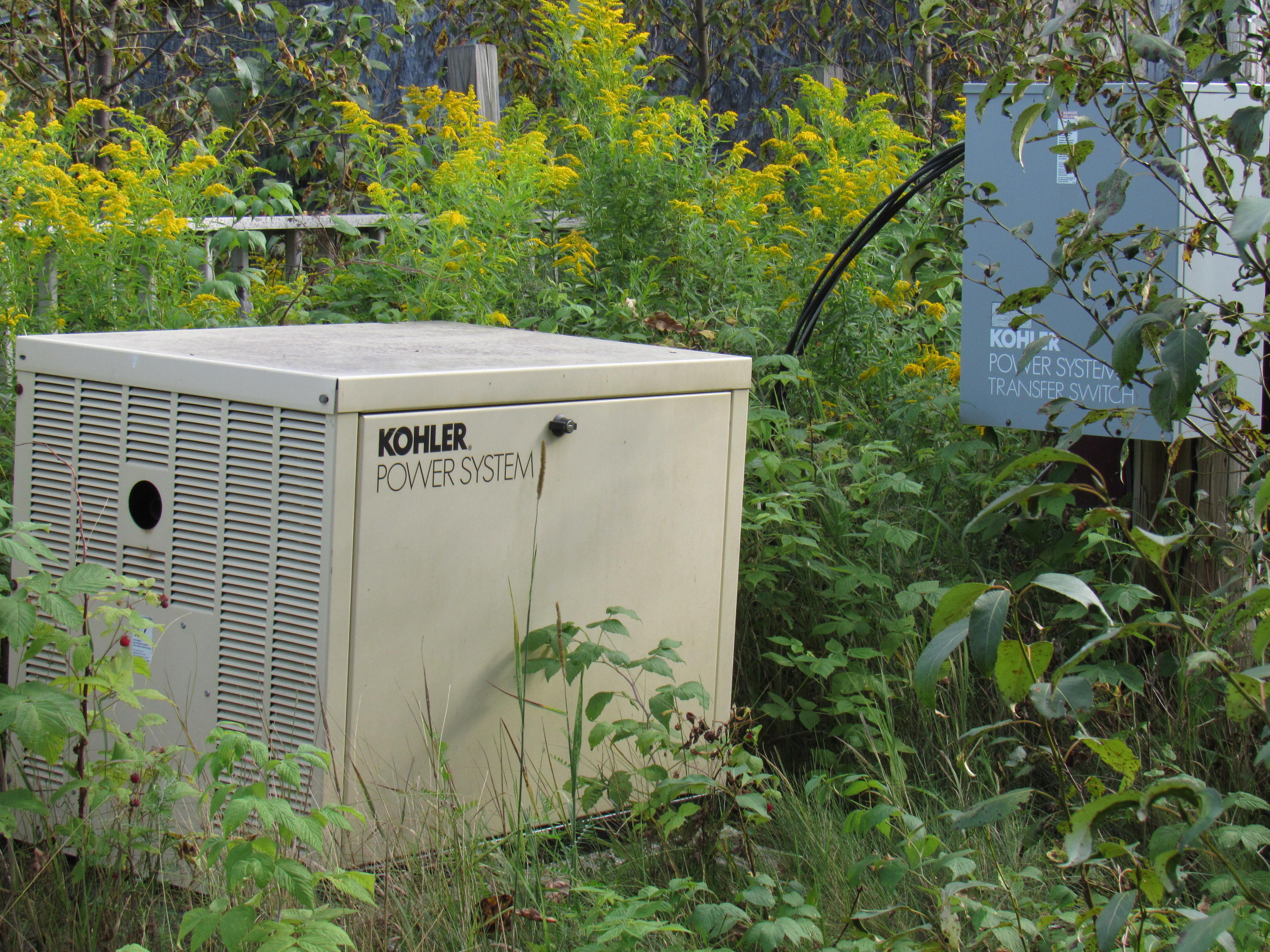 35 Holeb Road Jackman, ME 04945 - Photo 43 of 51 IMG_5559