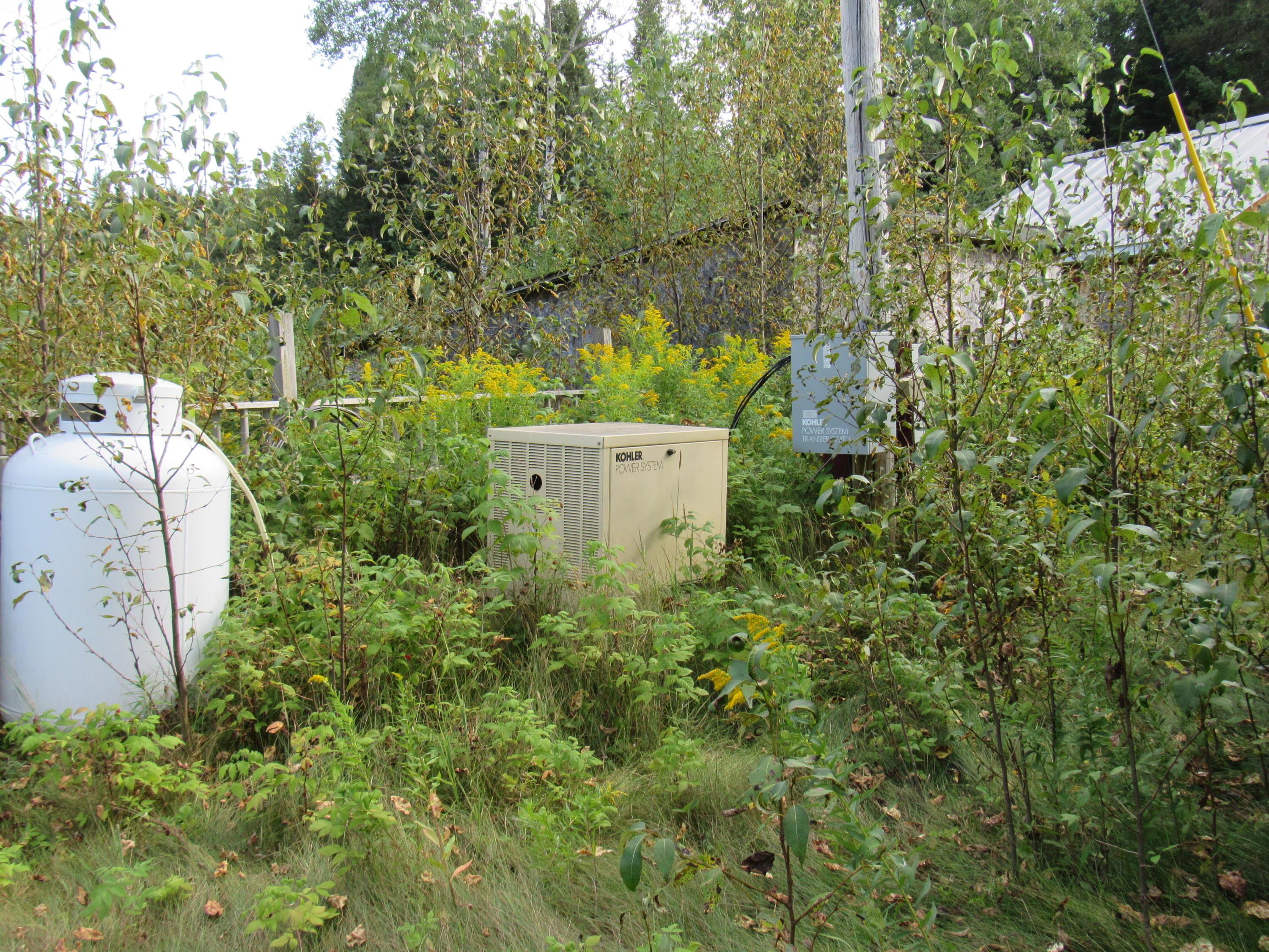 35 Holeb Road Jackman, ME 04945 - Photo 44 of 51 IMG_5560