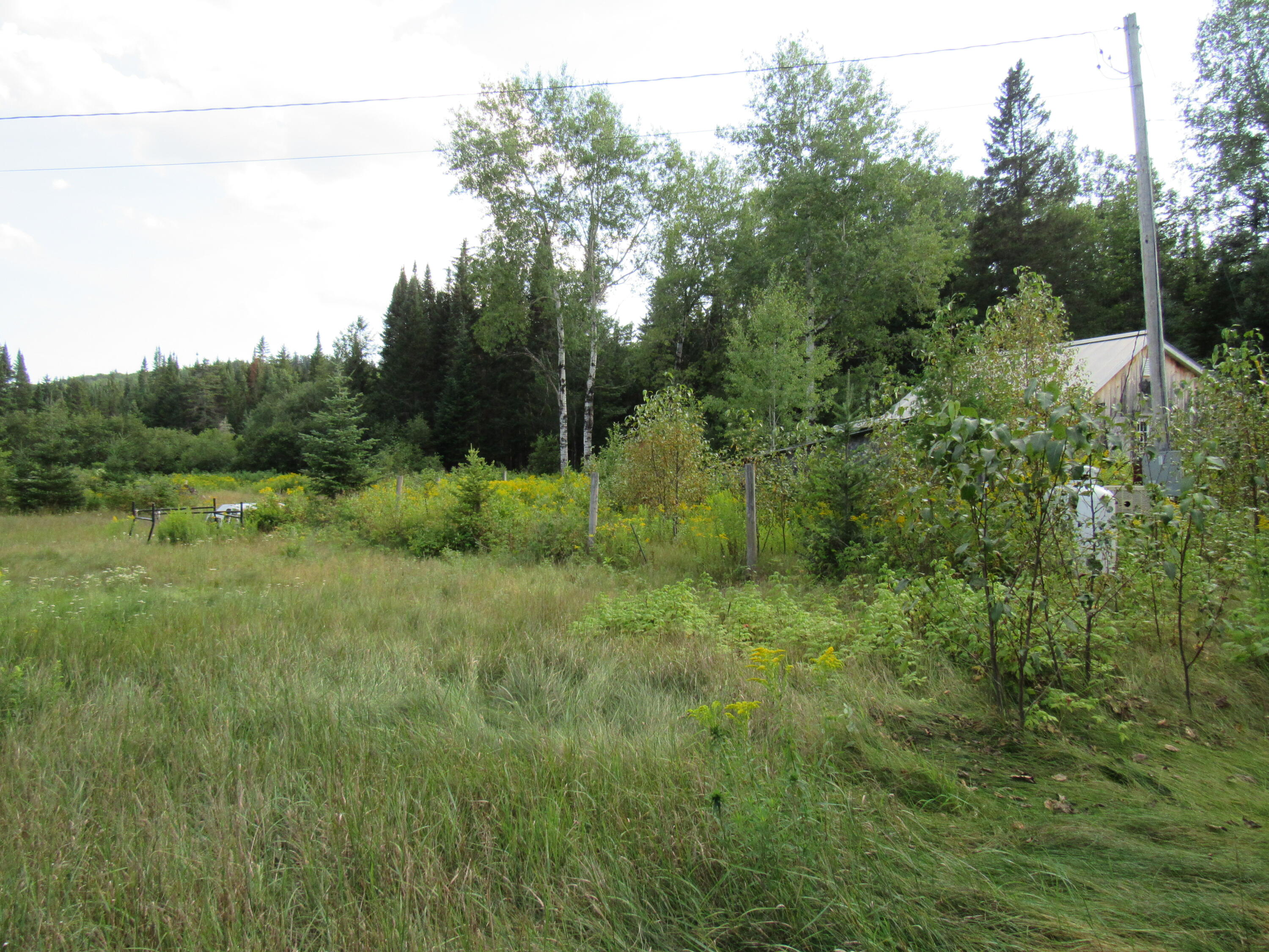 35 Holeb Road Jackman, ME 04945 - Photo 48 of 51 IMG_5564