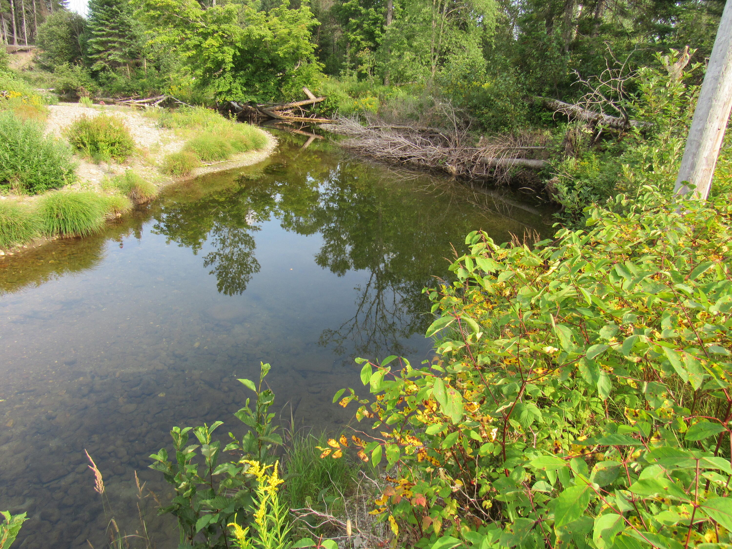 35 Holeb Road Jackman, ME 04945 - Photo 49 of 51 IMG_5565