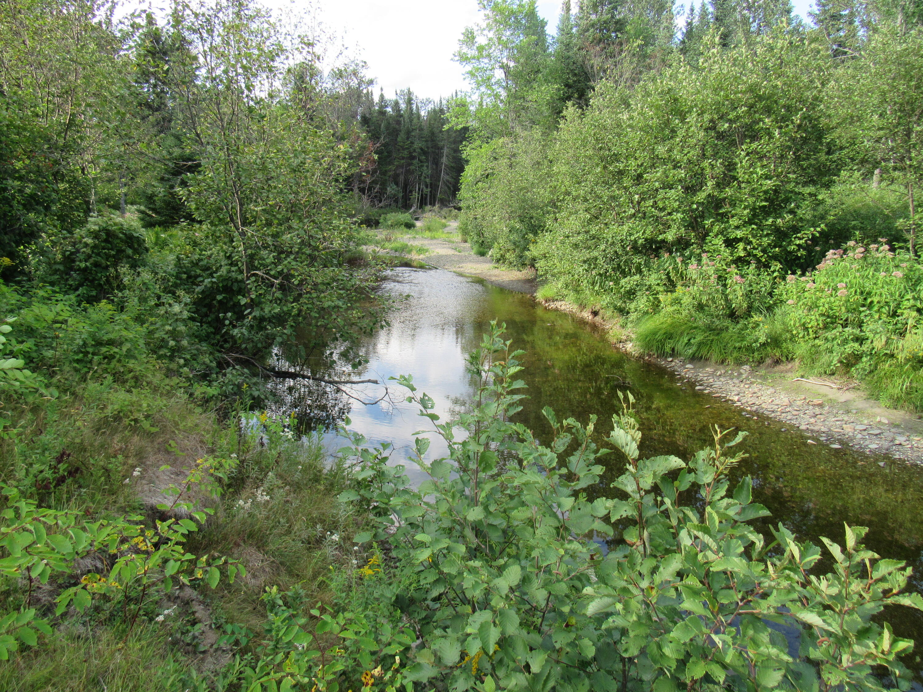 35 Holeb Road Jackman, ME 04945 - Photo 50 of 51 IMG_5566