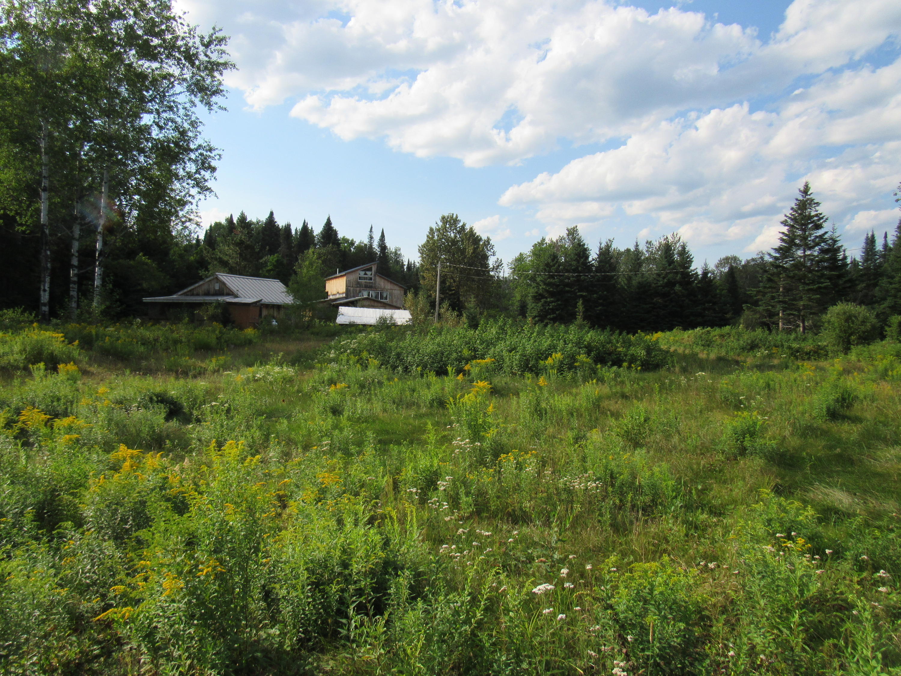 35 Holeb Road Jackman, ME 04945 - Photo 51 of 51 IMG_5567