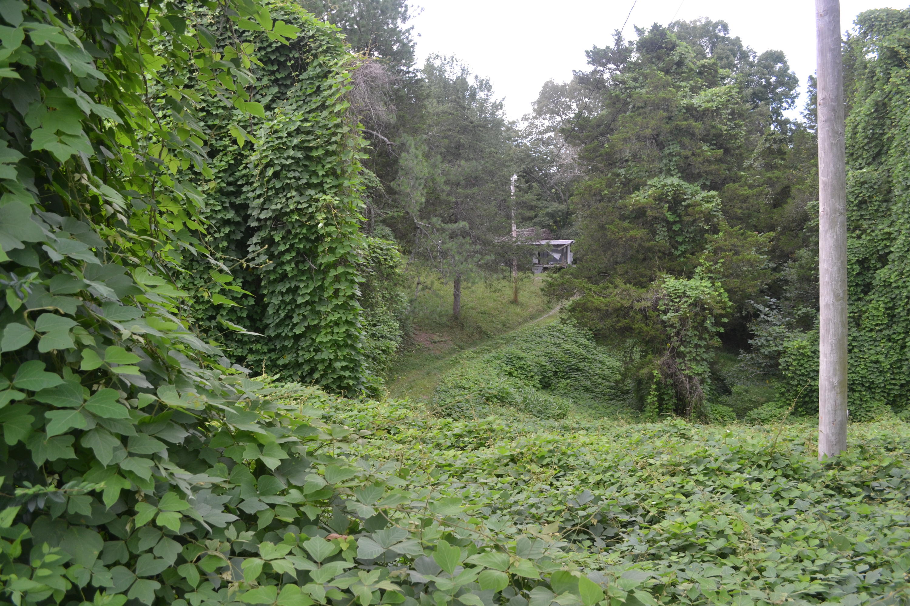 DSC_0190