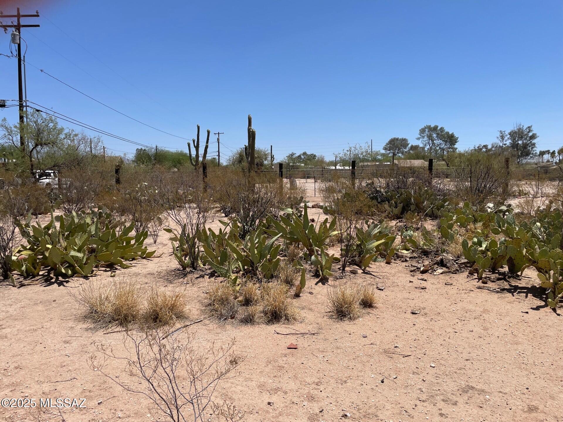 1110 East Halcyon Road Tucson, AZ 85719 - Photo 10 of 12 thumbnail_IMG_5243